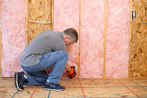 Types of Insulation We Offer in Courtland, VA