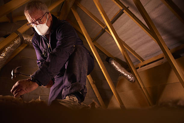 Professional Insulation Contractor in Courtland, VA