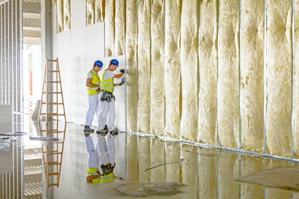Best Blown-in Insulation in Courtland, VA